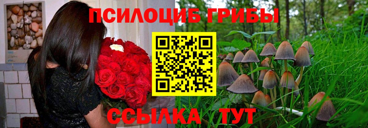 Галлюциногенные грибы мухоморы  Вход с VPN  Ейск 
