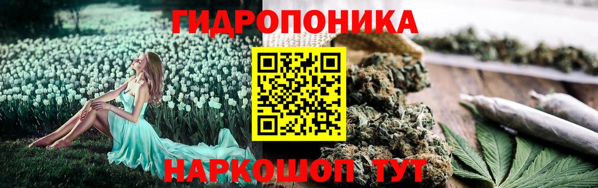 Бошки марихуана THC 21% Ейск